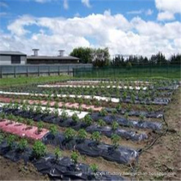 PP Woven Fabric PP Woven Geotextiles as Weed Control Mat /Weed Barrier/Woven Ground.